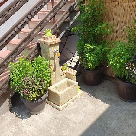 Apartman Djokic 2 Požarevac Екстериор снимка