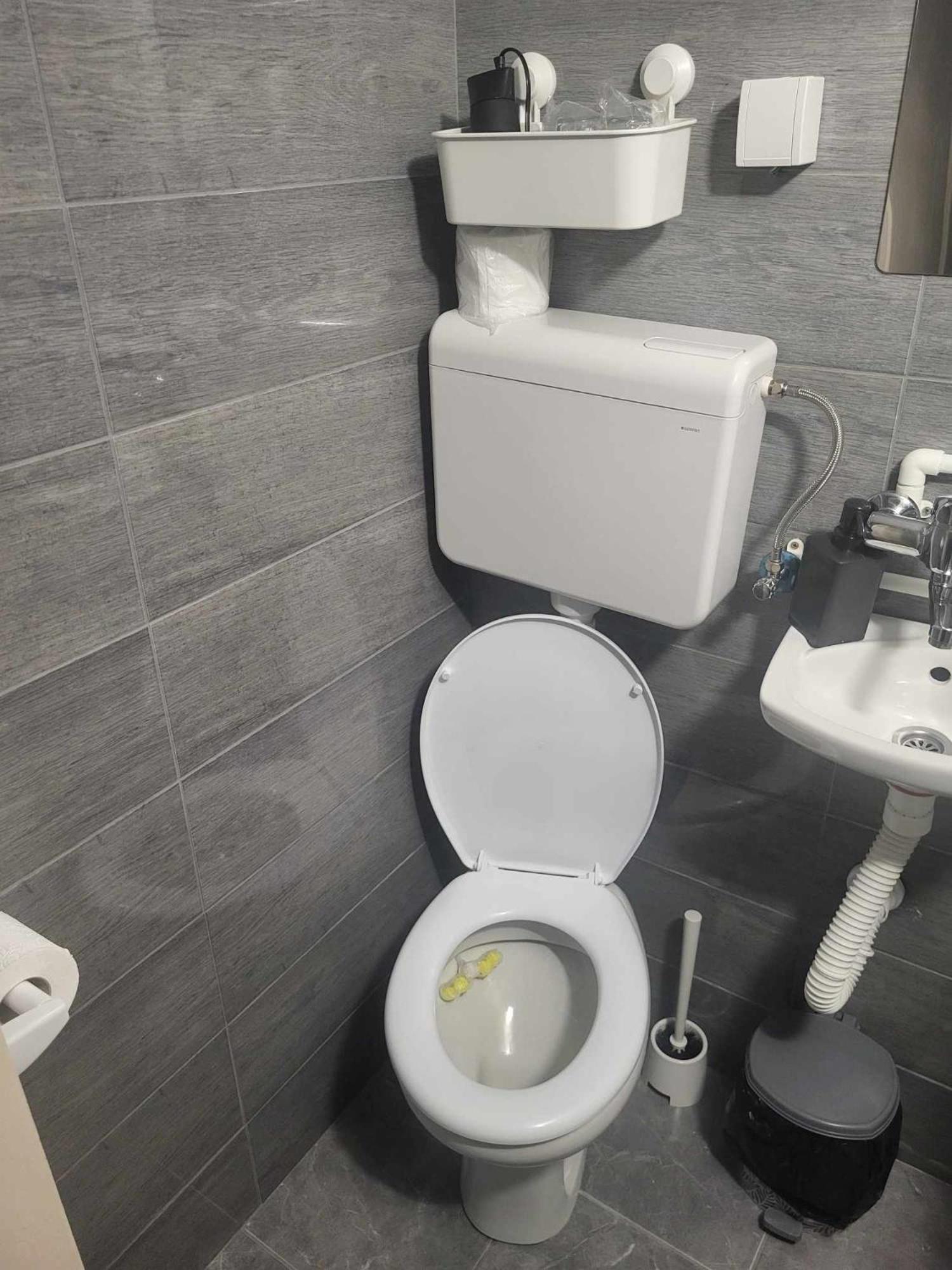 Apartman Djokic 2 Požarevac Екстериор снимка